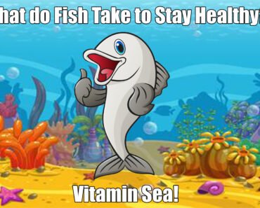 What do Fish Take to Stay Healthy?