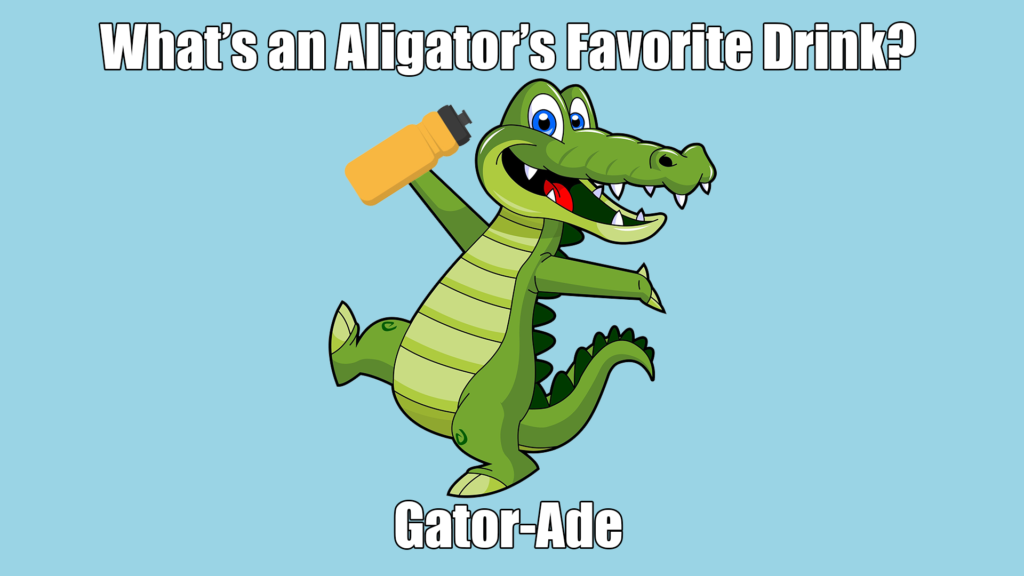 What is an Alligator’s Favorite Drink?