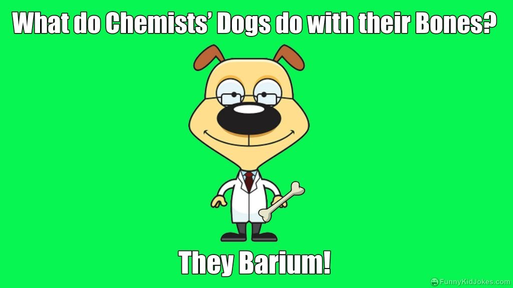 What do chemists’ dogs do with their bones?