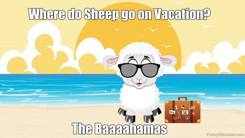 Where Do Sheep Go On Vacation?
