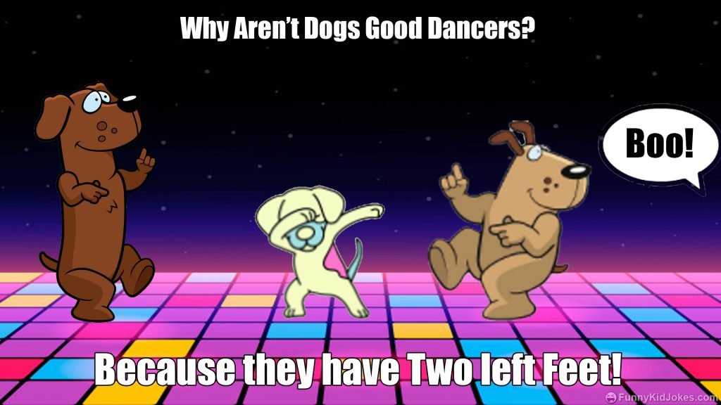 Why Aren’t Dogs Good Dancers?