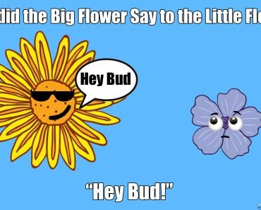 What did the Big Flower say to the Little Flower say to the Little Flower?