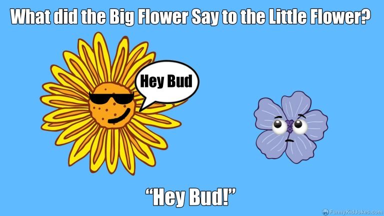 what-did-the-big-flower-say-to-the-little-flower-funny-kid-jokes