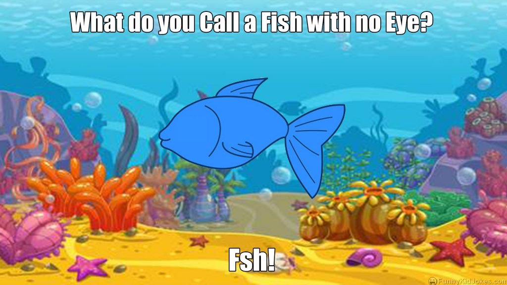 what-do-you-call-a-fish-with-no-eye-funny-kid-jokes