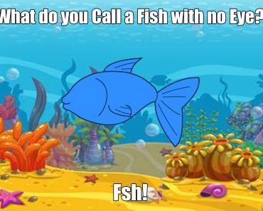 What do you call a Fish with no Eye?