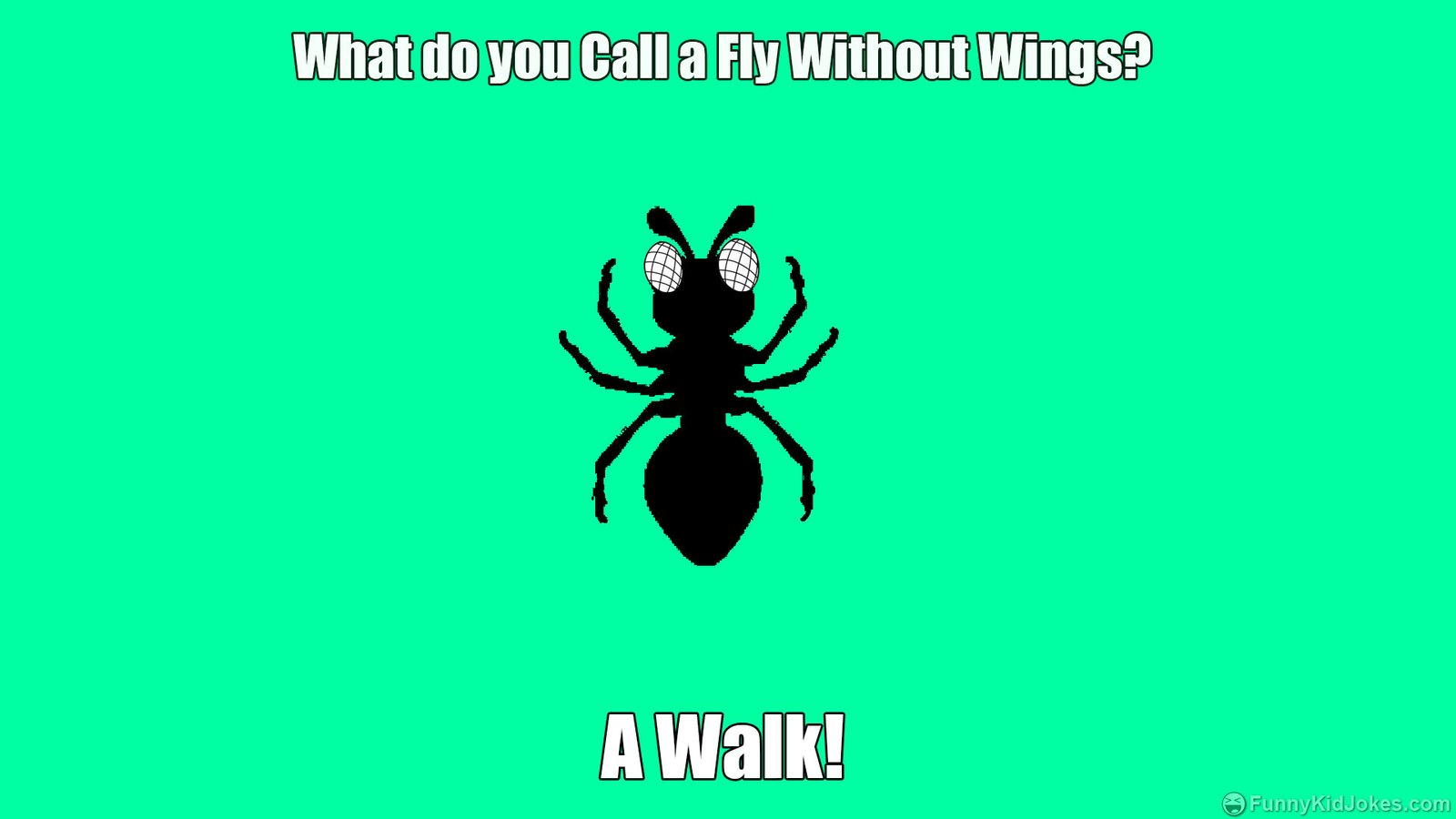 what-do-you-call-a-fly-without-wings-funny-kid-jokes