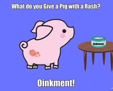 What do you Give a Pig with a Rash?