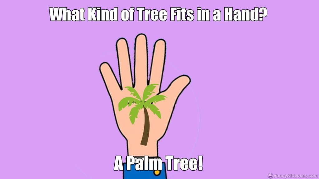 What Kind of Tree Fits in a Hand?