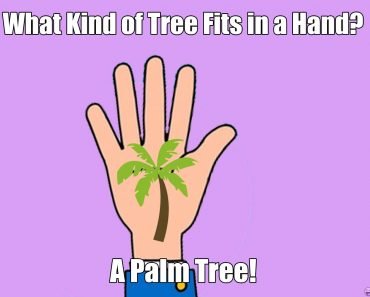 What Kind of Tree Fits in a Hand?