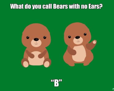 what-do-you-call-bears-with-no-ears