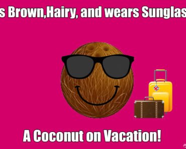 whats-brown-hairy-and-wears-sunglasses