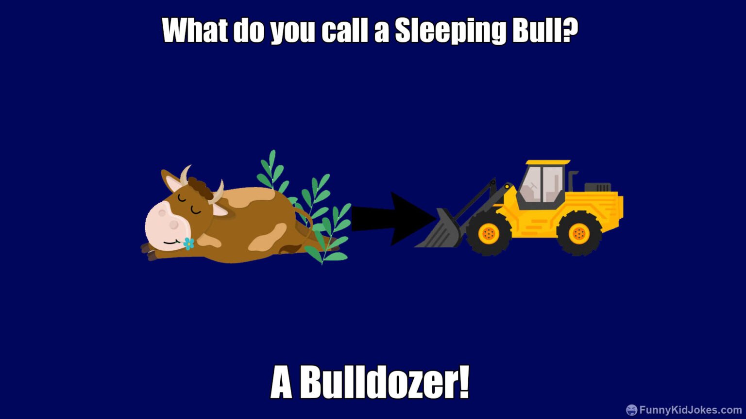 What do you call a Sleeping Bull? - Funny Kid Jokes