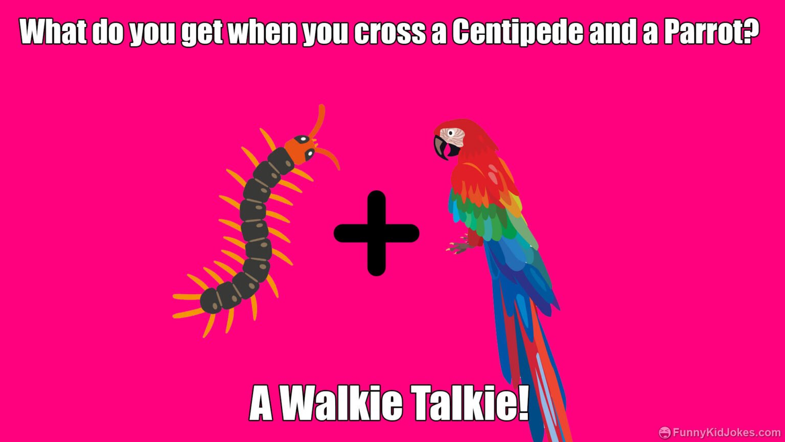 what-do-you-get-when-you-cross-a-centipede-and-a-parrot-funny-kid-jokes