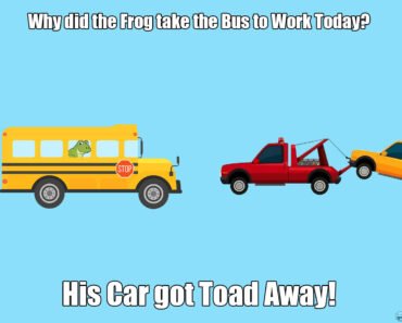 Why did the Frog take the Bus to Work Today?